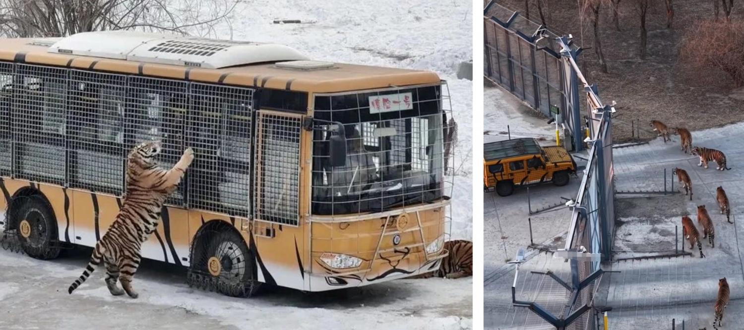 1765679581631563.jpg 未命名(5).jpg